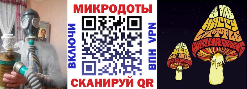 Галлюциногенные грибы Psilocybe  купить наркотики цена  blacksprut ссылка  Стерлитамак 