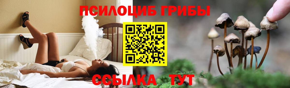 где купить наркоту  Псилоцибиновые грибы Psilocybe  Вход с VPN  Стерлитамак 